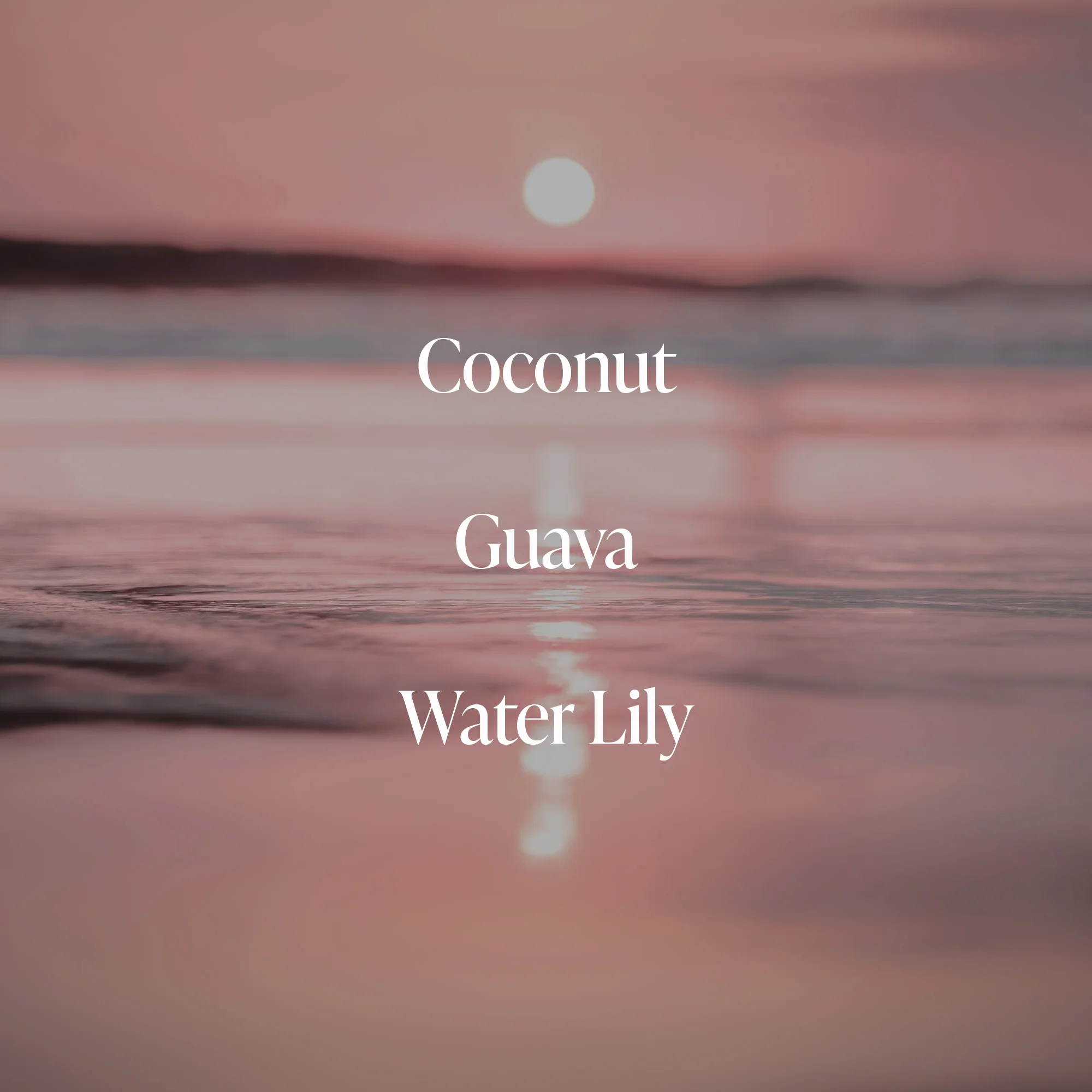 Coral Coast- Body Mist - Image 4