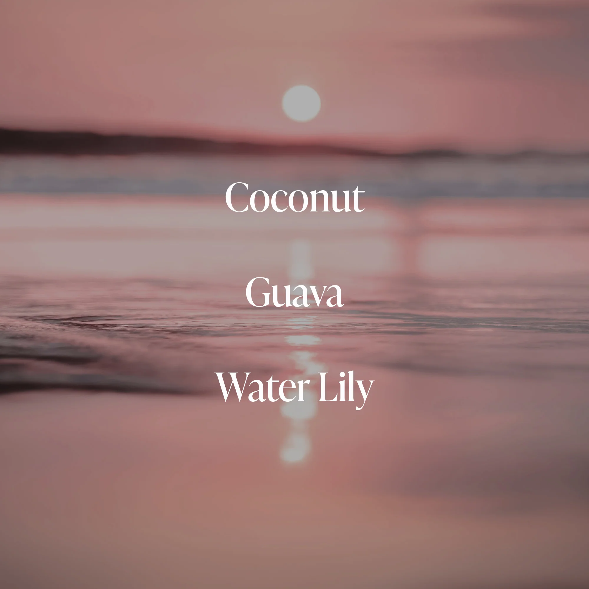 Coral Coast - Body Rituals Set - Image 2