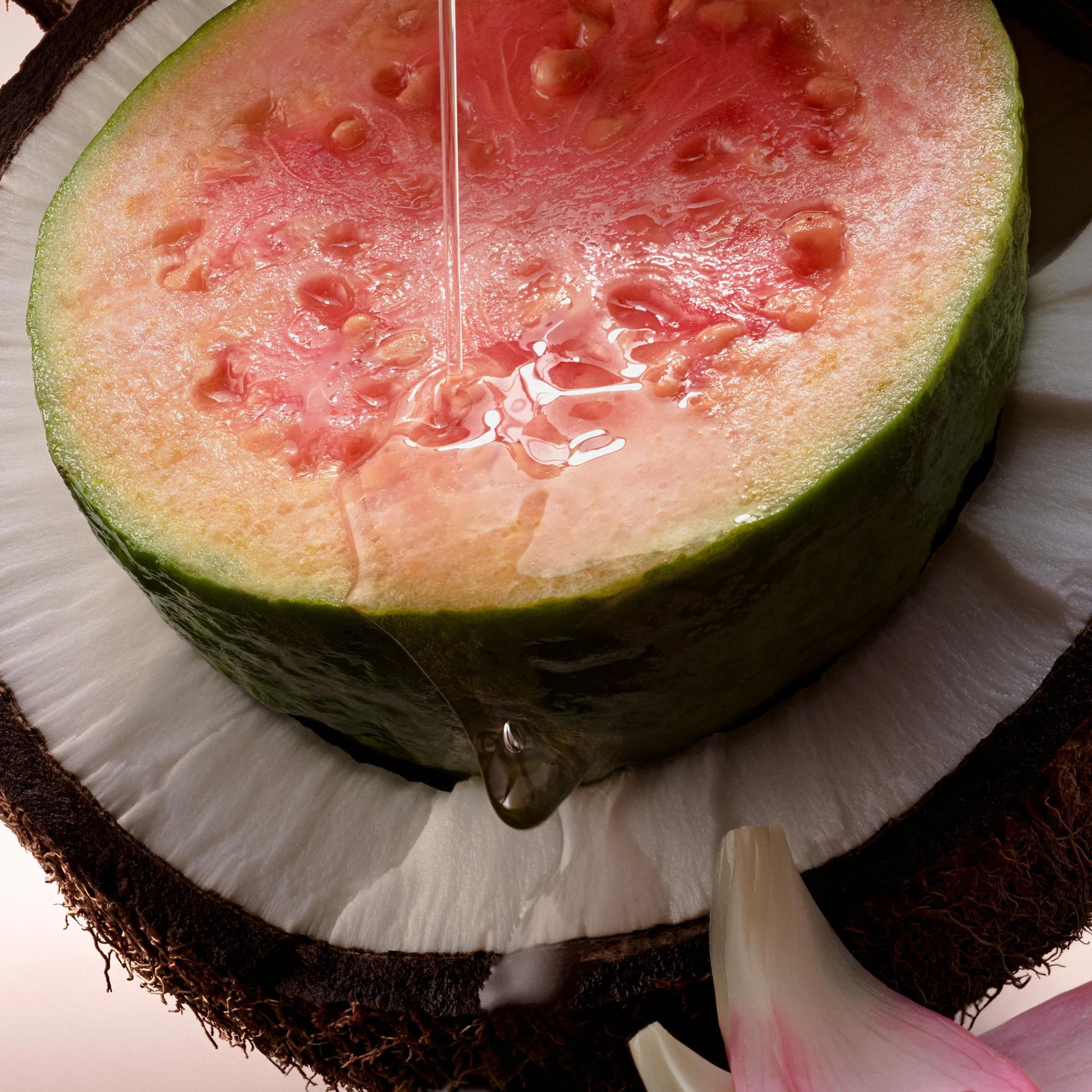 Coral Coast - Body Duo - Image 3