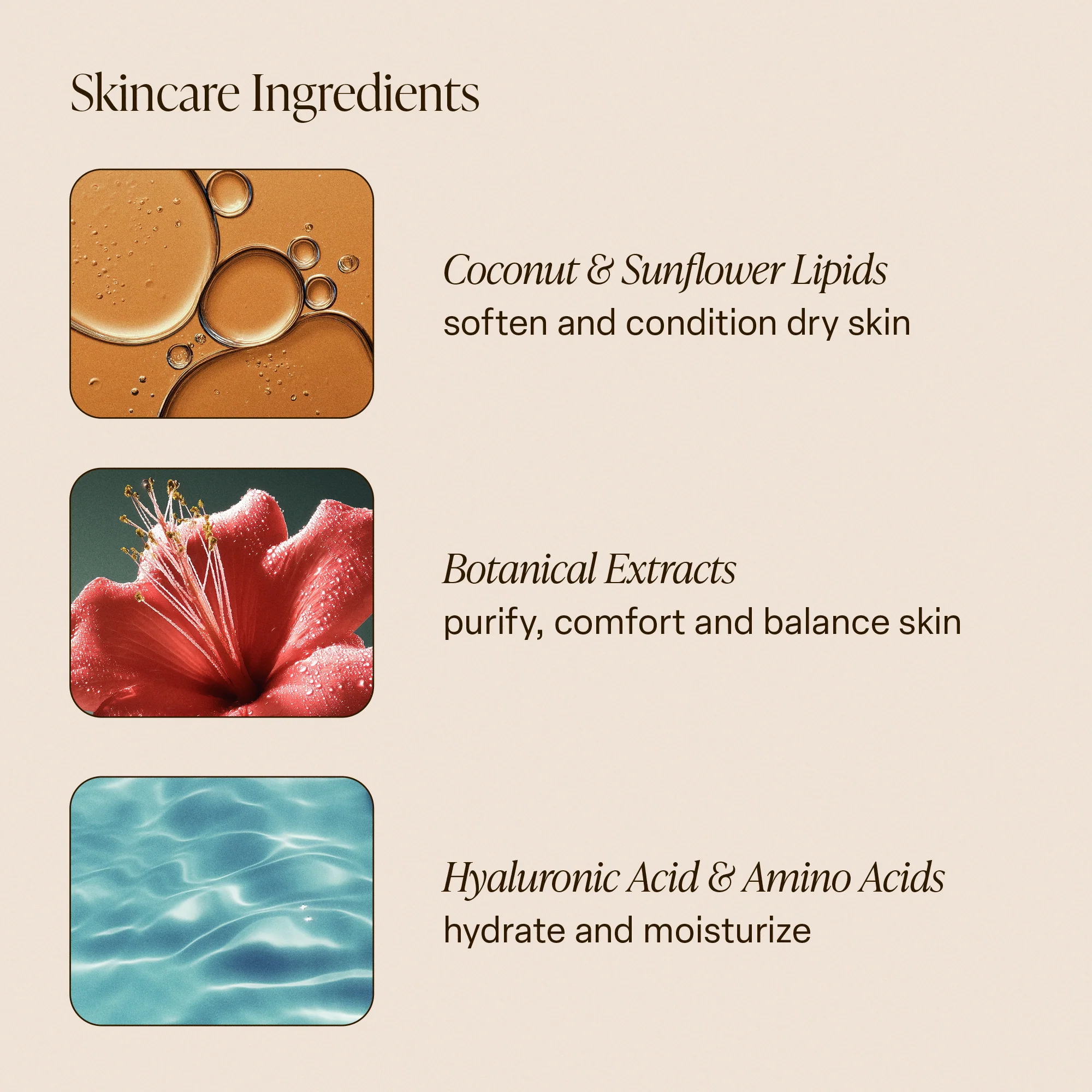 Driftwood - Body Wash - Image 5