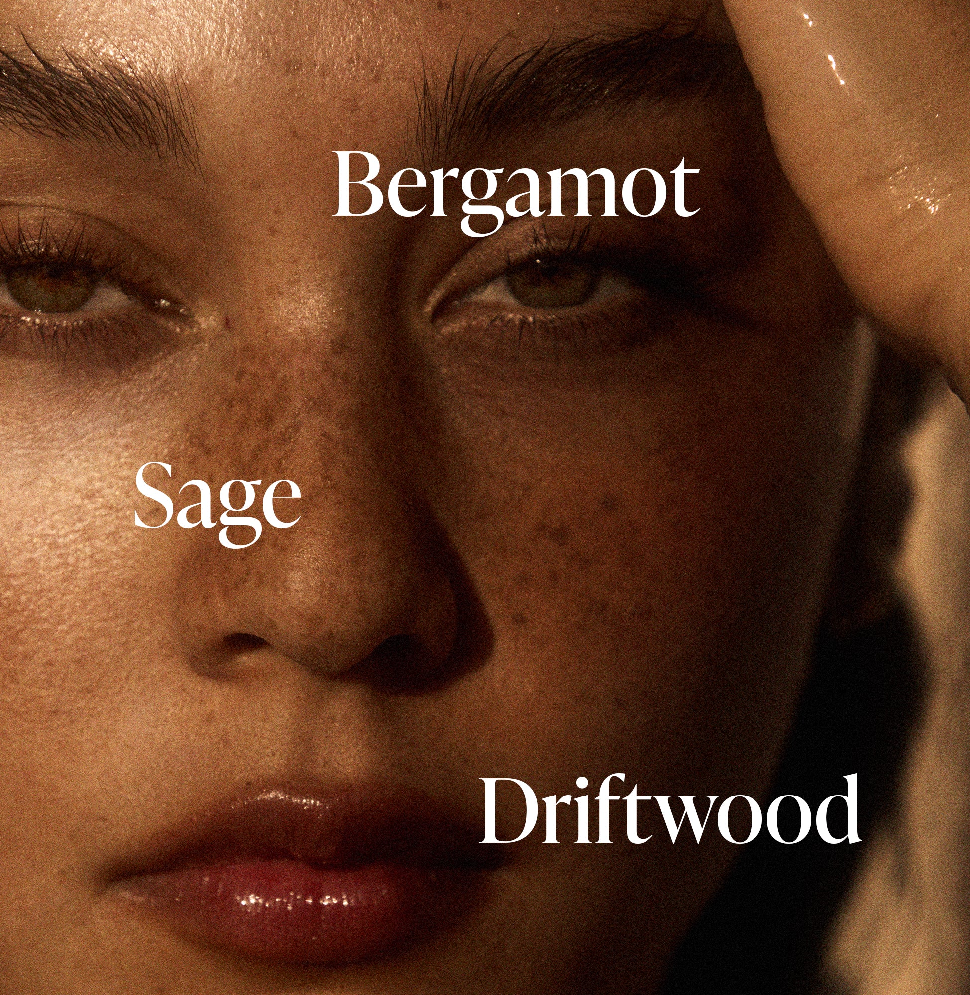 Driftwood - Body Wash - Image 4