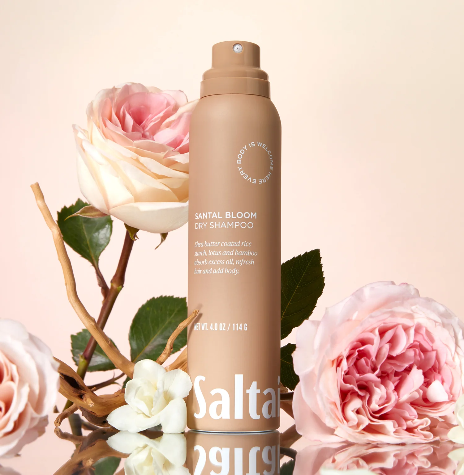 Santal Bloom - Dry Shampoo - Image 6