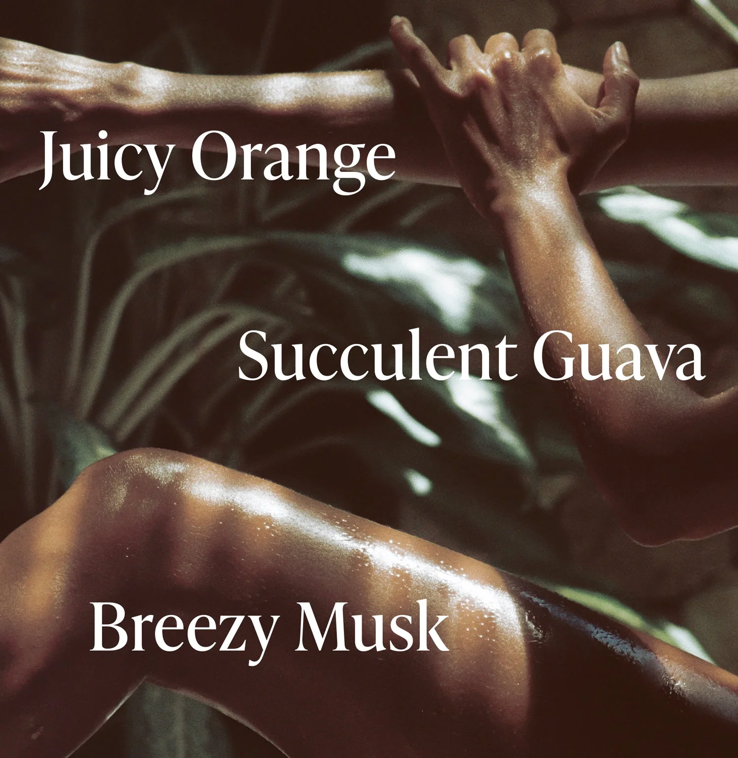 Exotic Pulp - Body Butter - Image 5