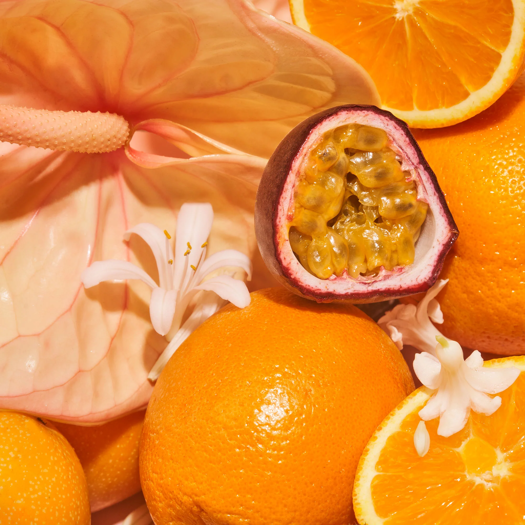 Exotic Pulp - Body Lotion - Image 6