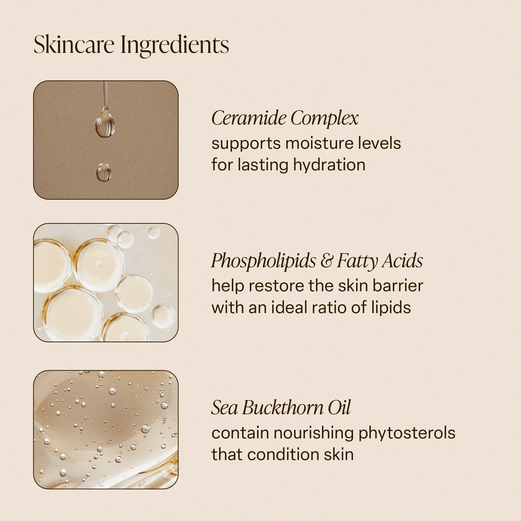 Golden Hour - Body Butter - Image 8