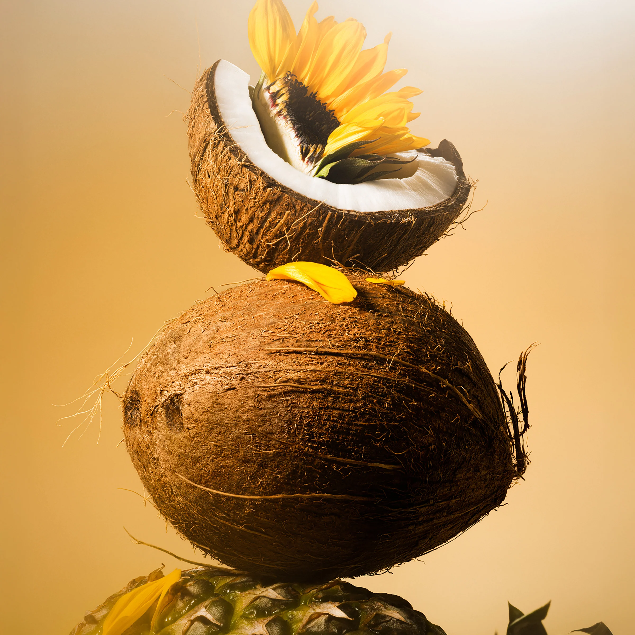 Golden Hour - Body Oil - Image 8