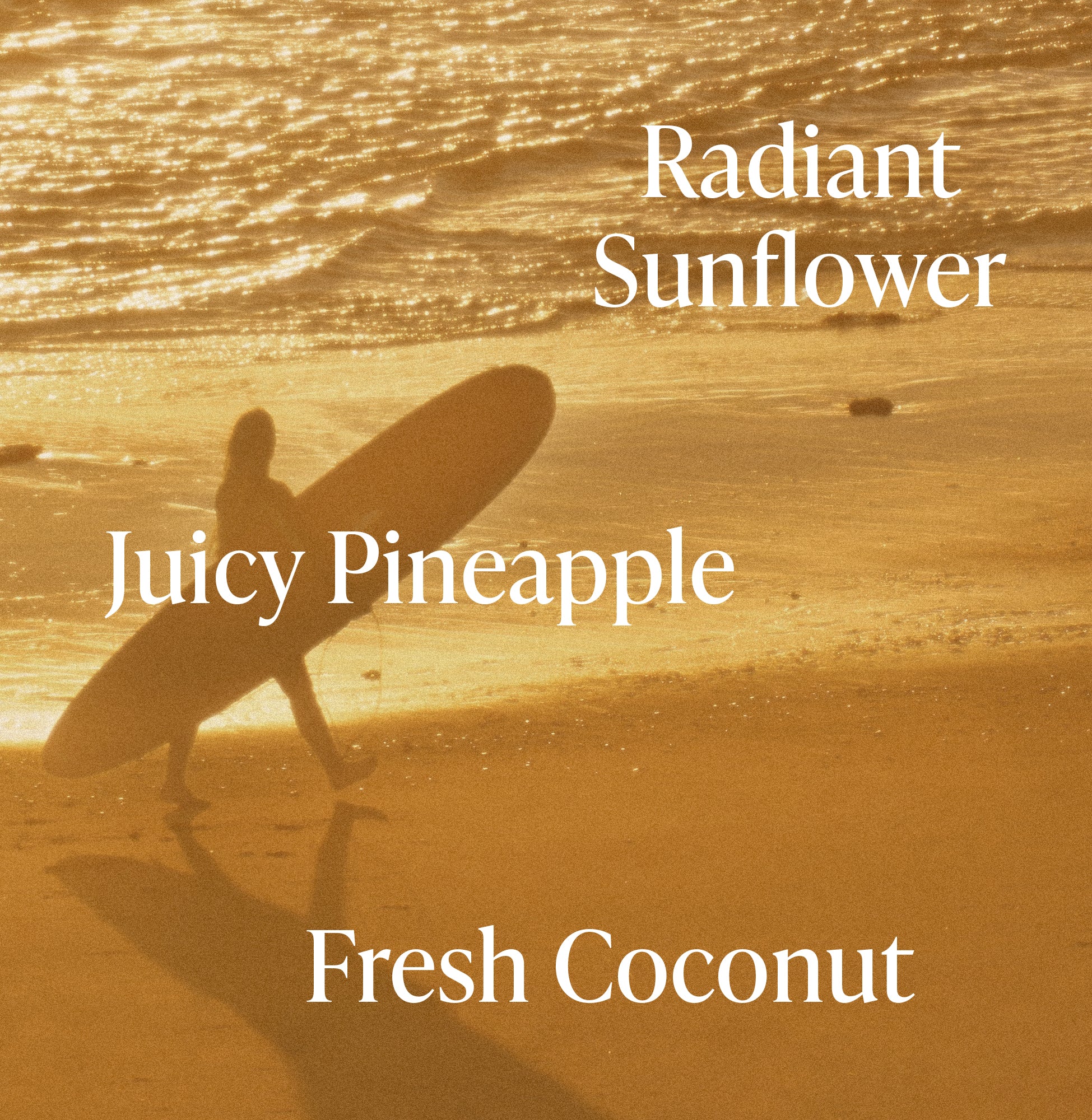 Golden Hour - Oil-Infused Body Wash - Image 3