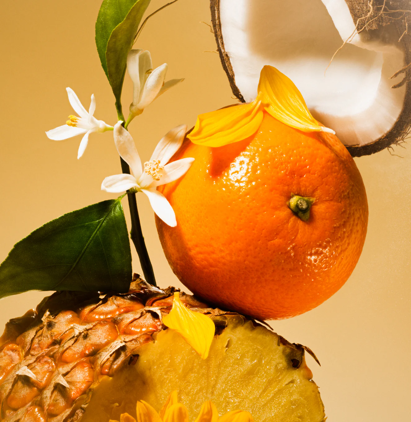 Golden Hour - Shimmering Body Oil - Image 4