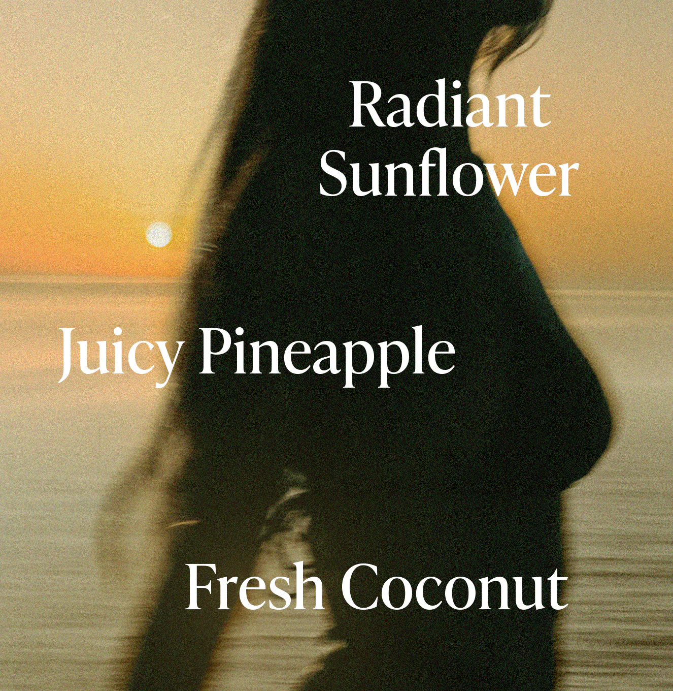 Golden Hour - Shimmering Body Oil - Image 6