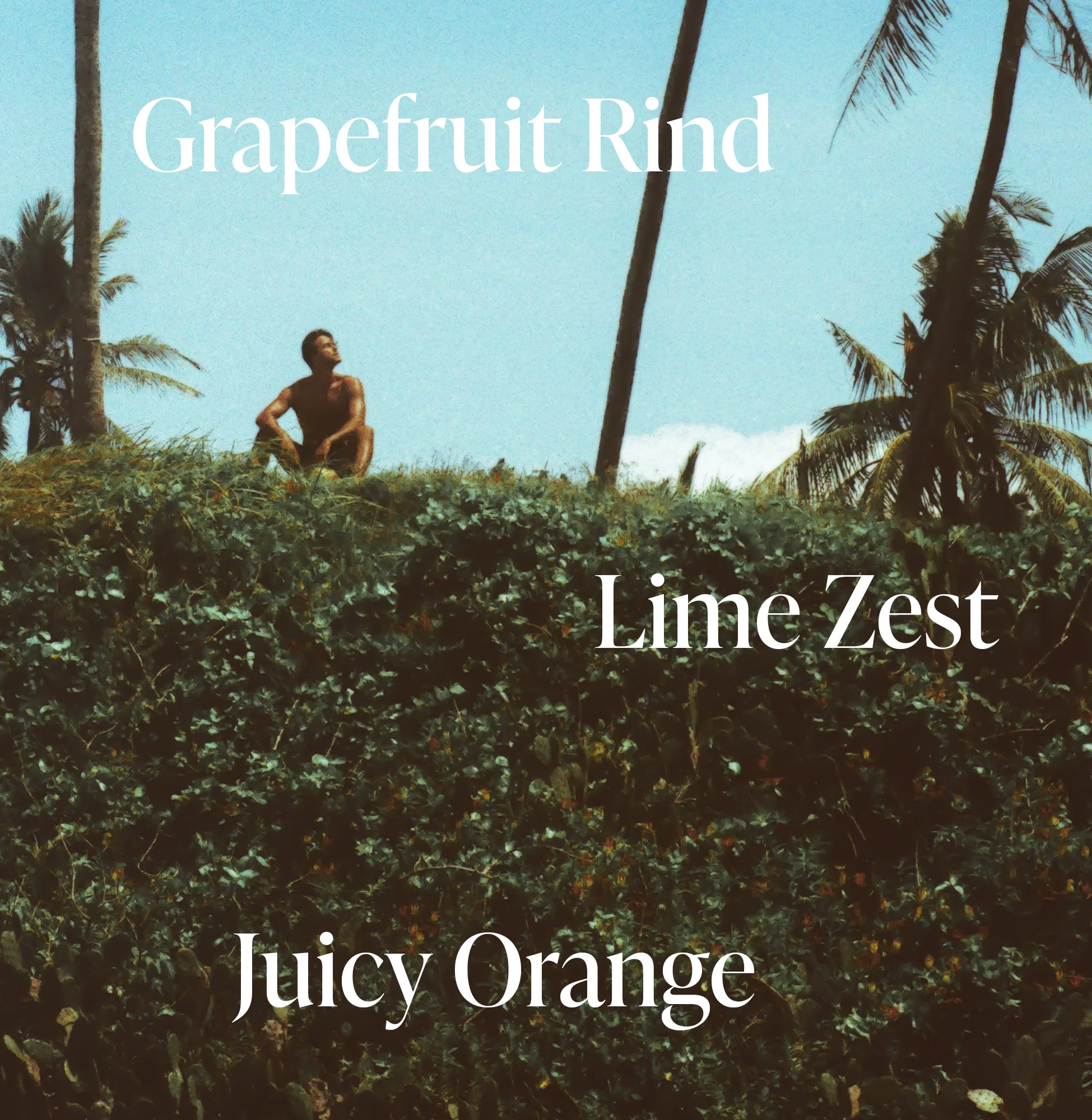 Green Grapefruit - Body Wash - Image 4
