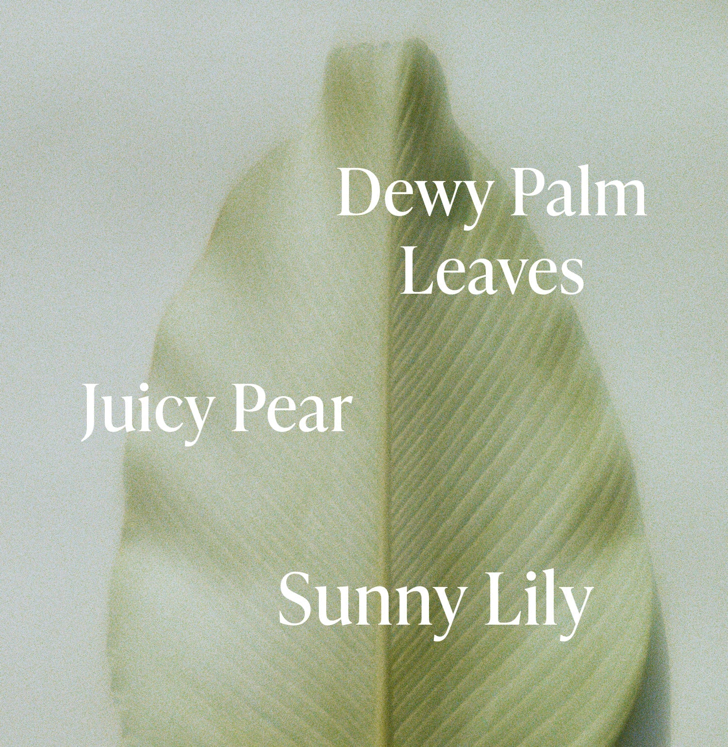 Lush Greens - Travel Size Body Lotion - Image 3