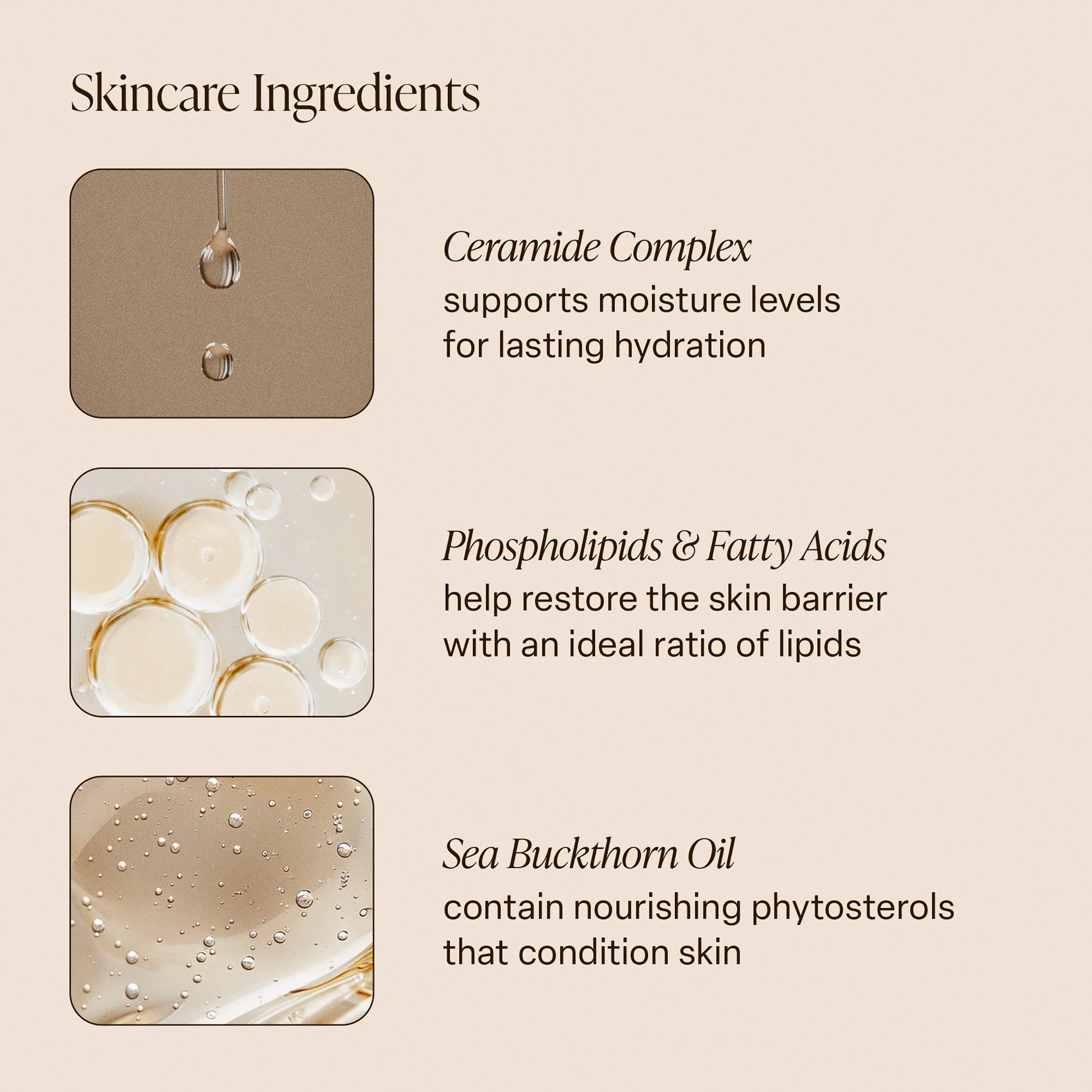 Pink Beach - Body Butter - Image 10