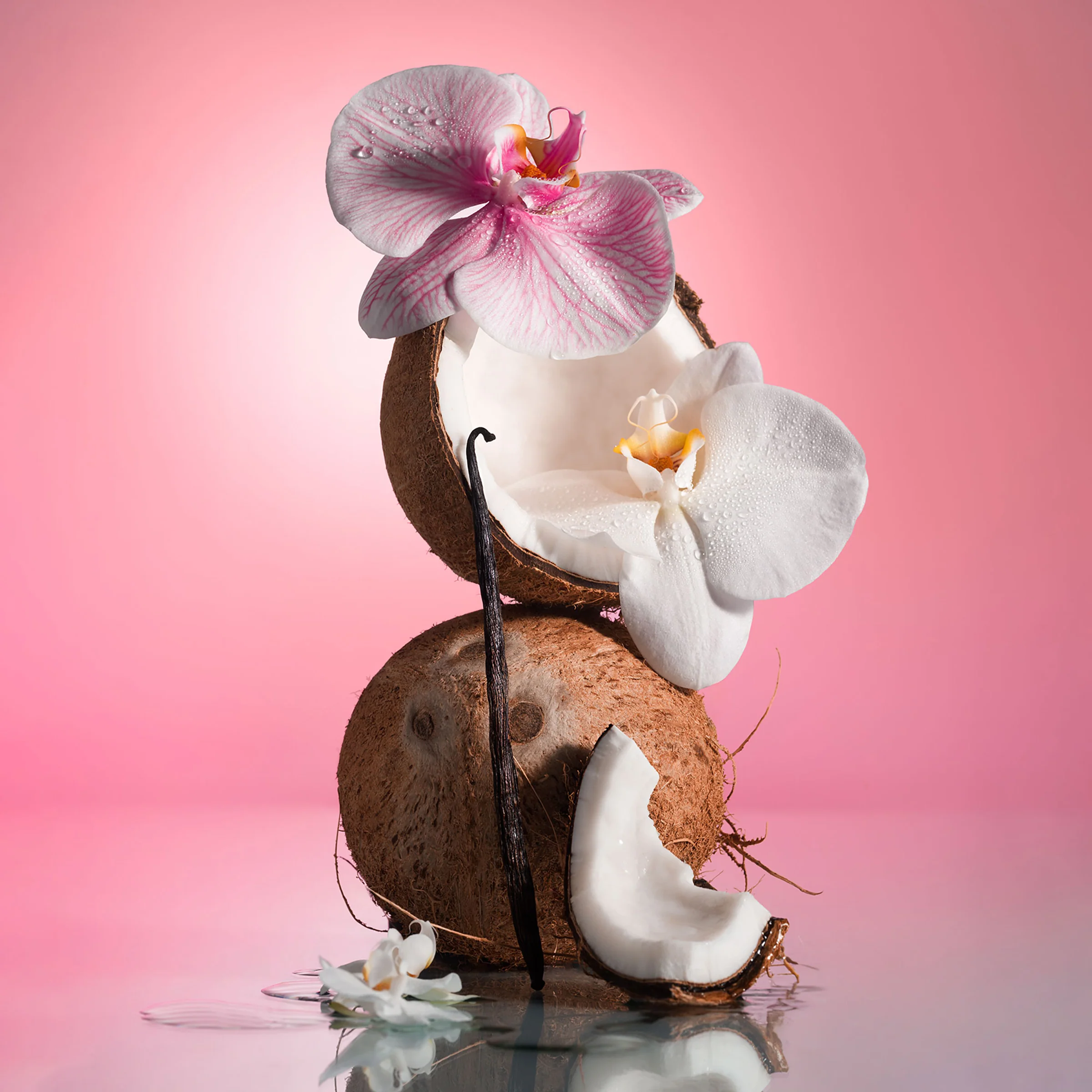 Pink Beach - Body Oil - Image 7