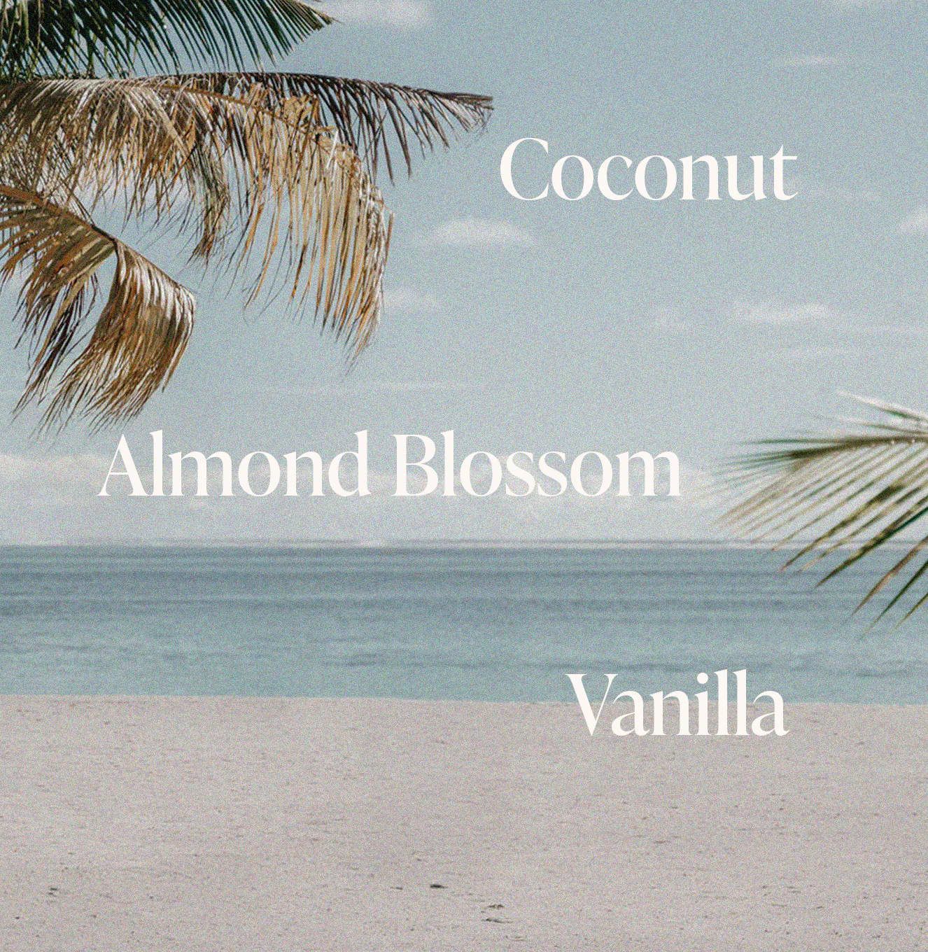 Pink Beach - Shimmering Body Oil - Image 6
