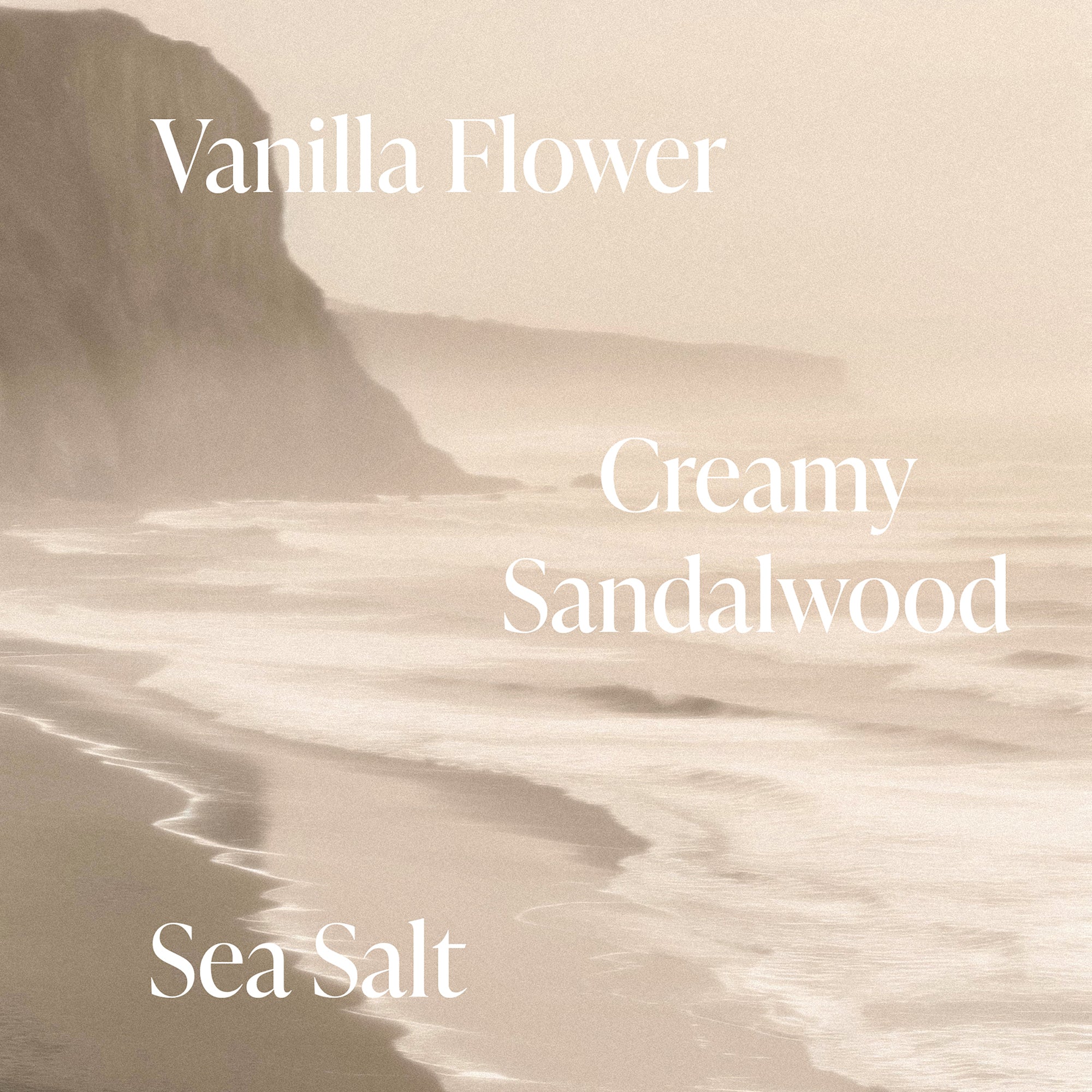 Salt Water Vanilla - Body Scrub - Image 6