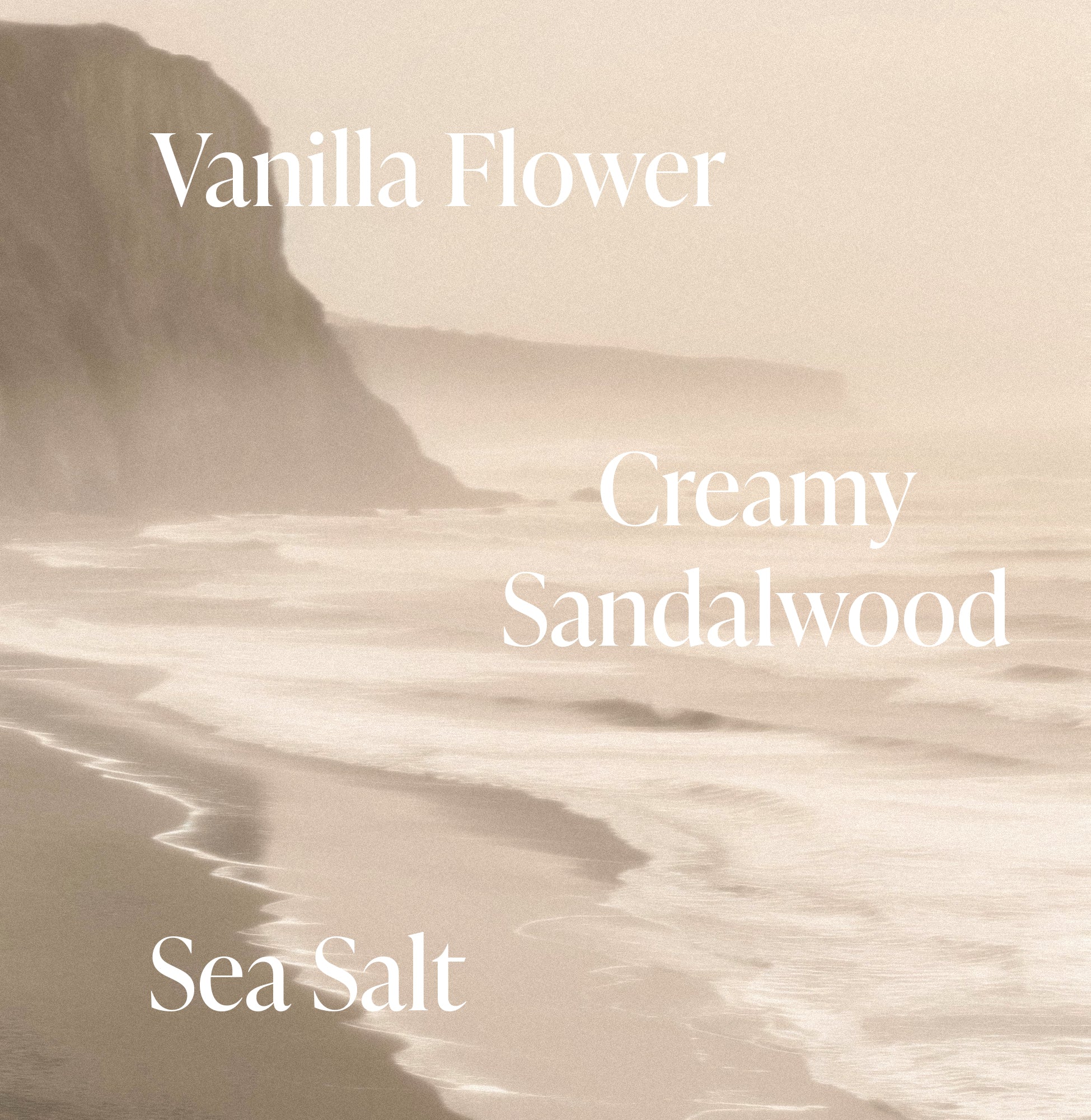 Salt Water Vanilla - Skincare Deodorant - Image 3