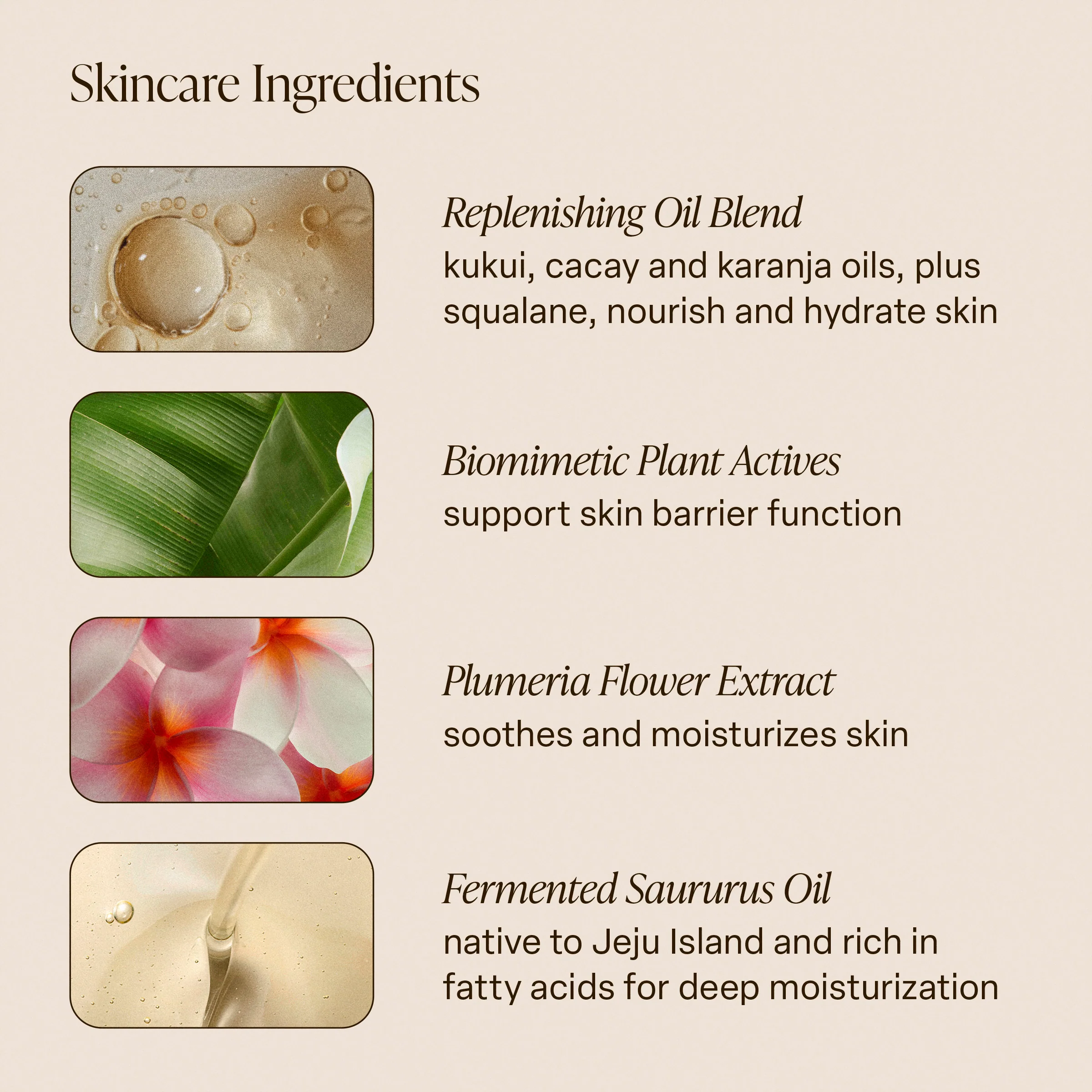 Santal Bloom - Body Oil - Image 9