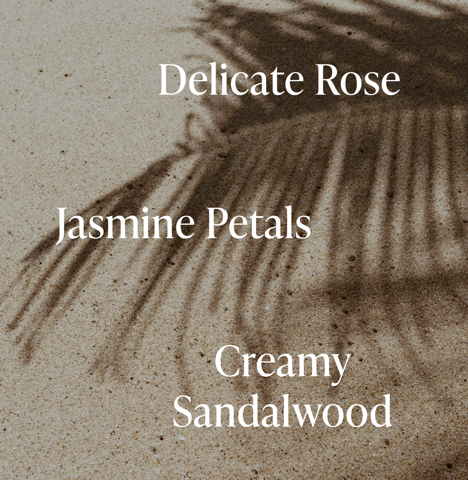 Santal Bloom - Body Wash - Image 3