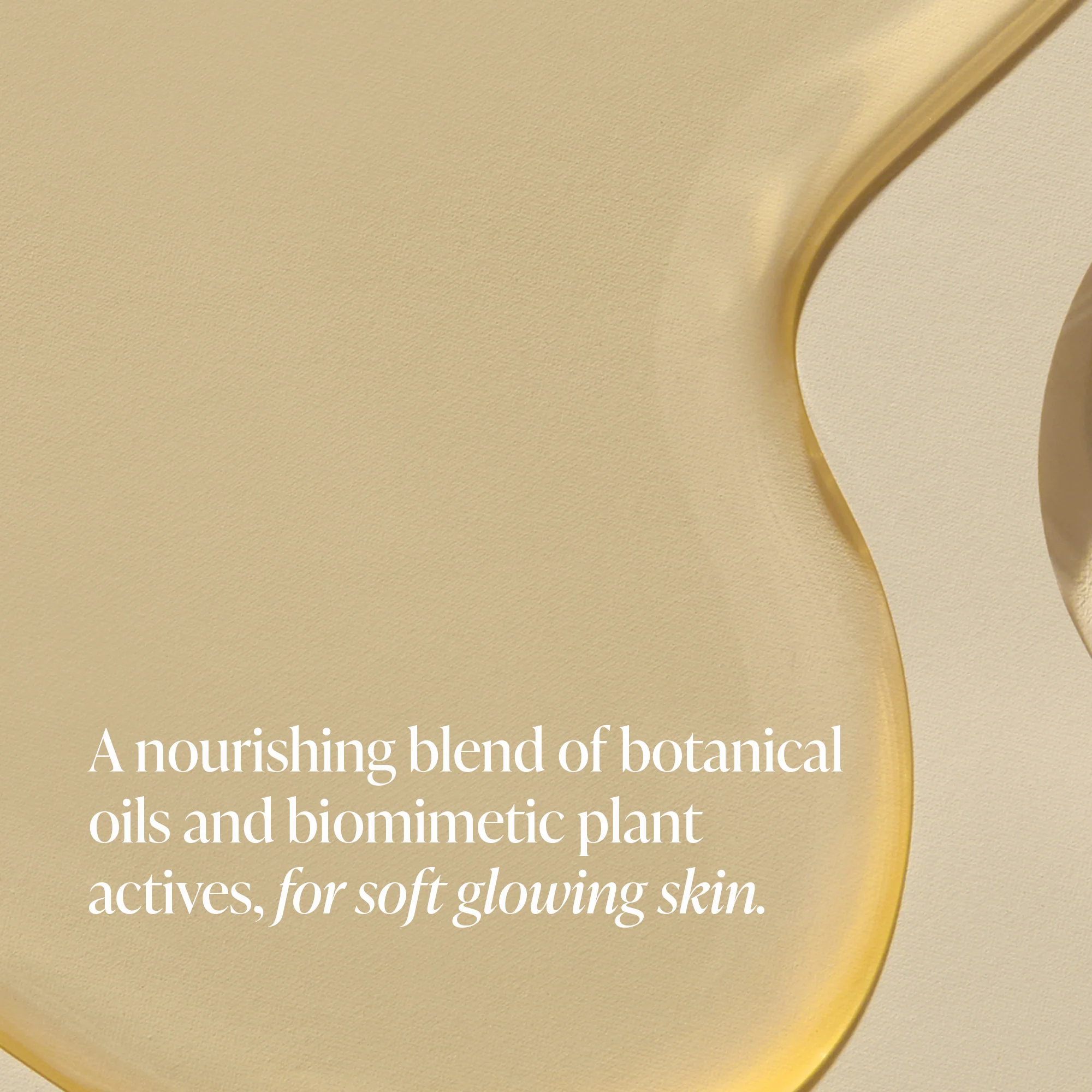 Shea Soleil - Body Oil - Image 4