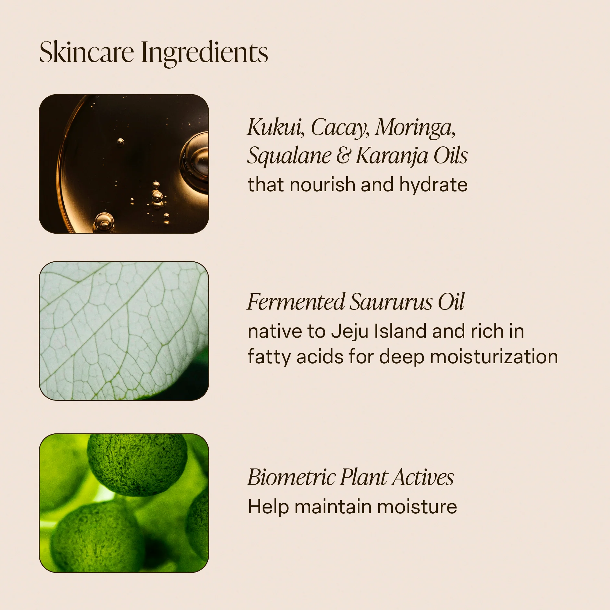Shea Soleil - Body Oil - Image 6